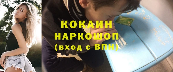 амф Каменка