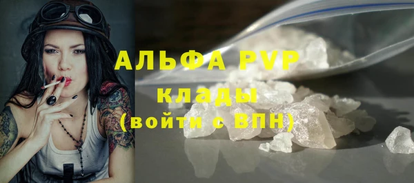 амф Каменка