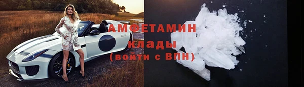амф Каменка