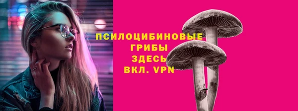 прущие грибы Каменск-Шахтинский