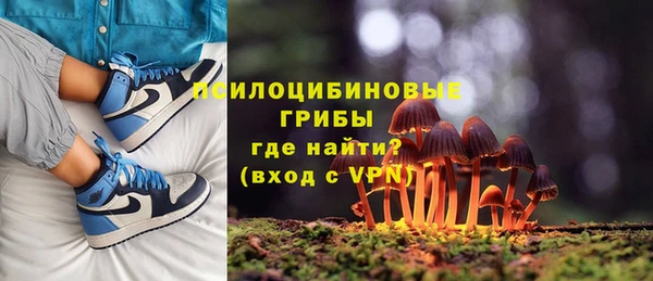 прущие грибы Каменск-Шахтинский