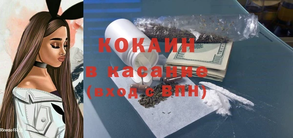 амф Каменка