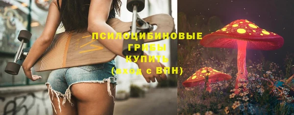 спайс Каменногорск