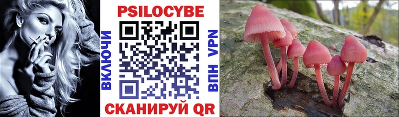 Галлюциногенные грибы Cubensis  Купить  Знаменск 